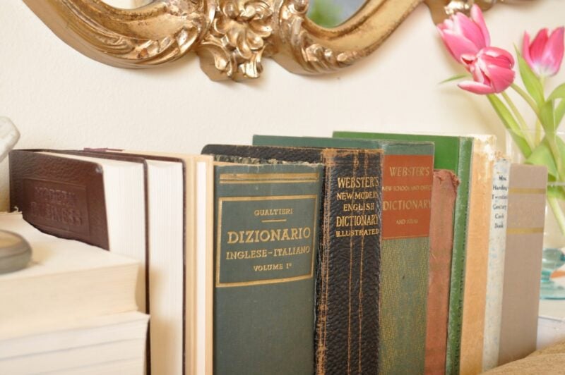 A row of vintage dictionaries and books stands on a shelf beneath a decorative mirror, with pink tulips in a vase visible on the right side.