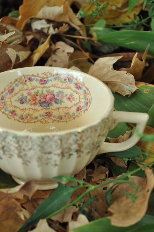 A decorative teacup with floral patterns sits among dried leaves and green foliage, capturing the essence of THe Vintage Tea Collection Look Book.