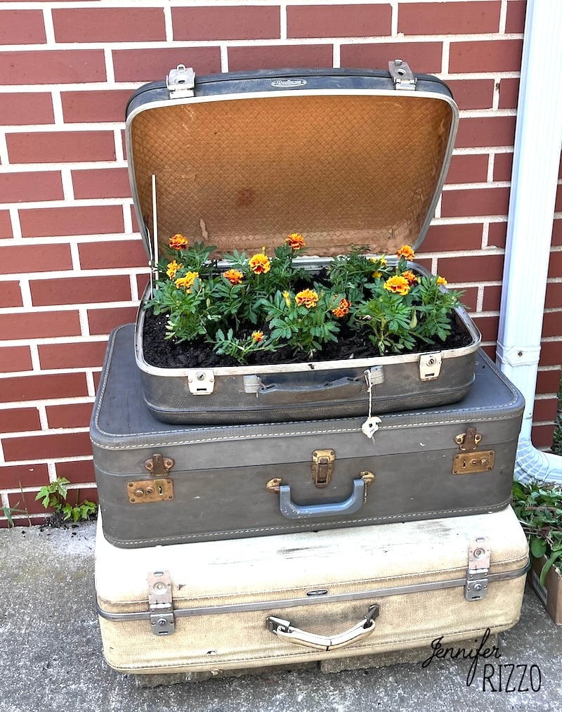 Decorating with vintage suitcases, three classics are stacked against a brick wall; the top suitcase is open, brimming with soil and vibrant orange marigold flowers.