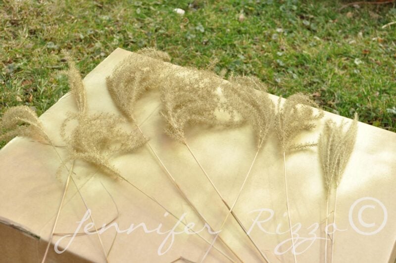 Several dried ornamental grass stems are arranged atop a cardboard box outdoors, with green grass in the background—perfect for creating a unique spray painted floral arrangement.