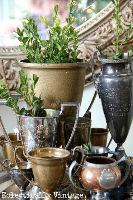 Box wood in pots and trophies
