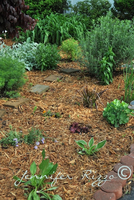 Fresh mulched garden