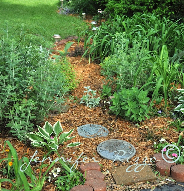 Small path in mulch
