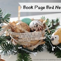 Book-Page-Bird-Nests