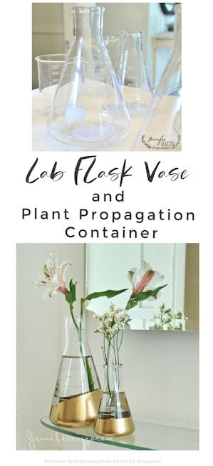 How to Clean Narrow Neck Vases and Bottles - Jennifer Rizzo