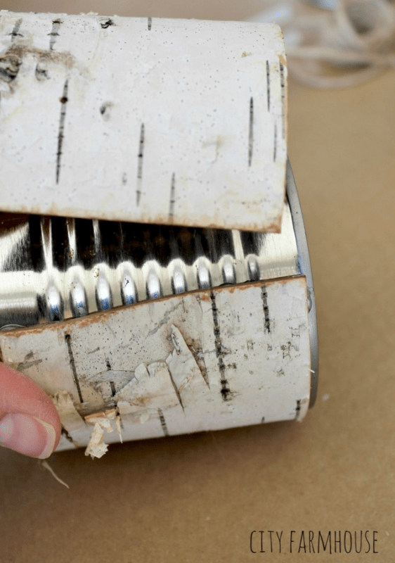A hand wraps a strip of birch bark around a metal tin can on a brown surface, creating one of the DIY birch bark vases. The City Farmhouse watermark is visible in the bottom right corner.