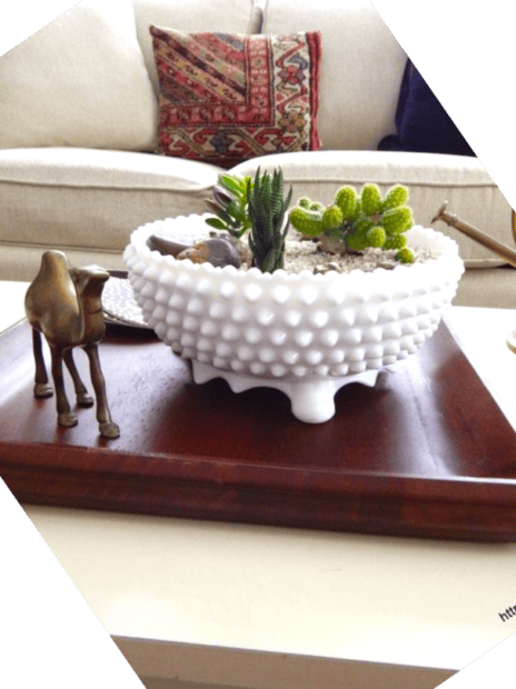 A white textured bowl holds an easy cactus and succulent garden on a wooden tray, accompanied by a small camel figurine, adorning the living room table.