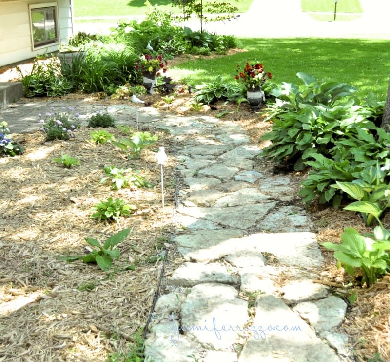 A stone pathway landscaped with paver stones meanders through a lush garden, flanked by vibrant green plants and colorful flowers, leading to a grassy area. A house peeks into view from the left, adding charm to the serene front walk.