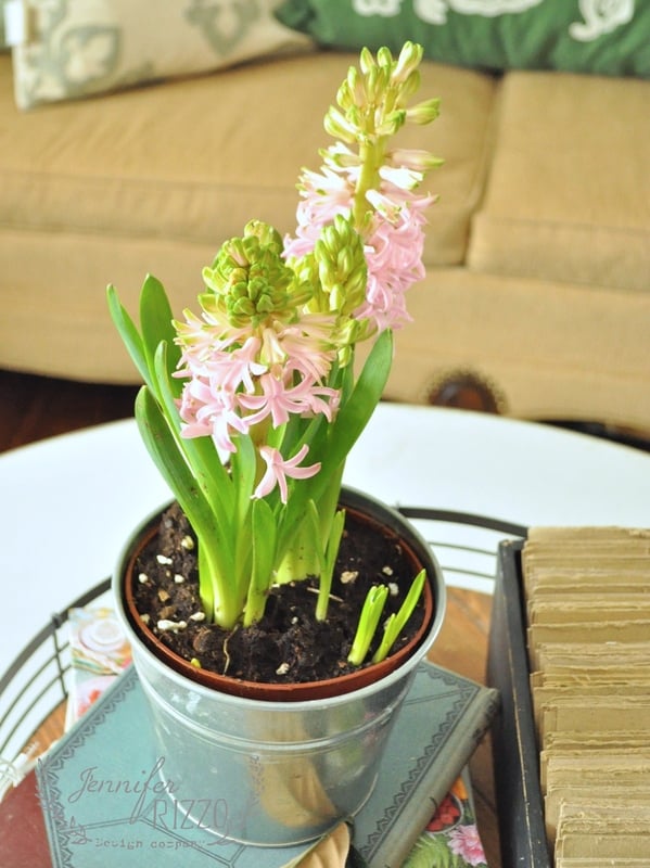 A green potted plant with pink flowers is placed on a table. The table also holds a stack of books. A beige couch is in the background.