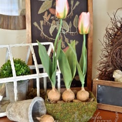 Make super cute faux tuip bulbs