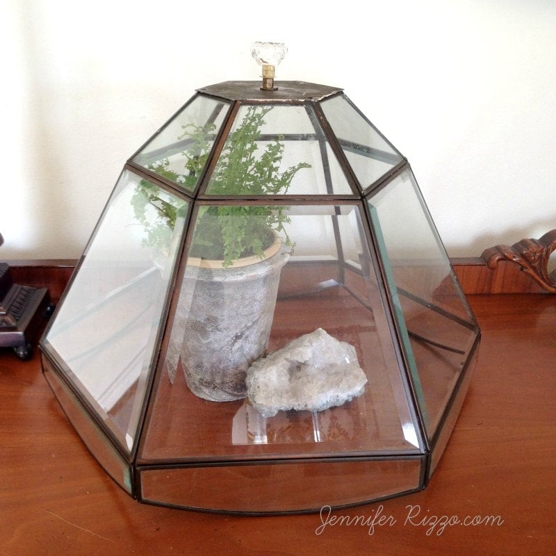 A geometric Repurposed Glass Lamp Shade Cloche with a knob on top covers a potted fern and a large crystal resting on a wooden surface.