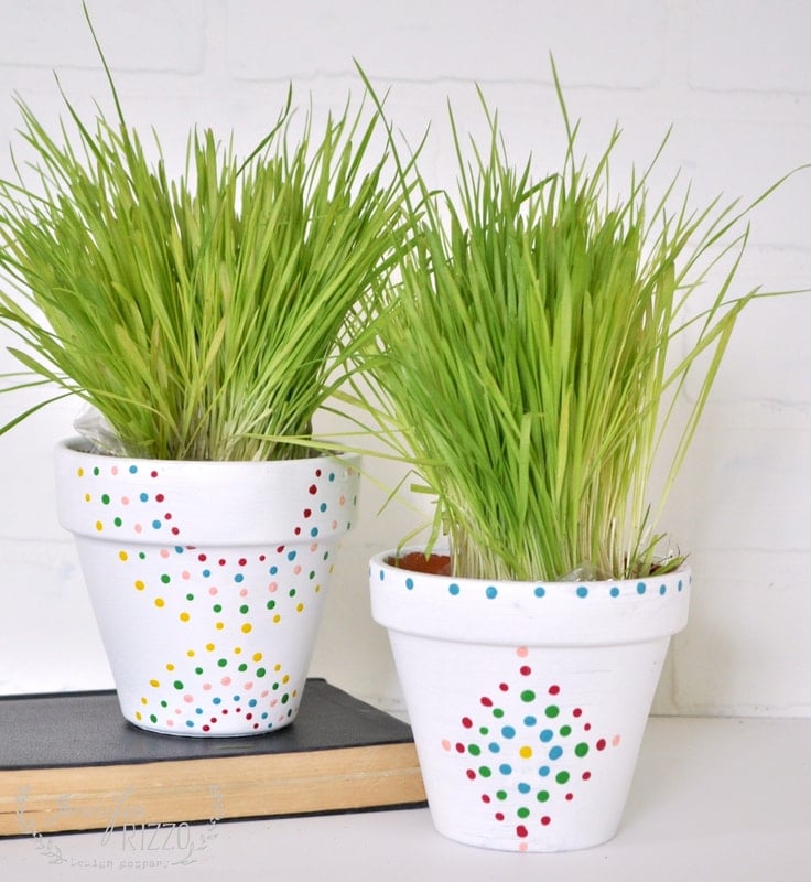 Two white paint dot flower pots, each adorned with colorful spot patterns and filled with tall green grass, are placed on top of a closed book against a white background.