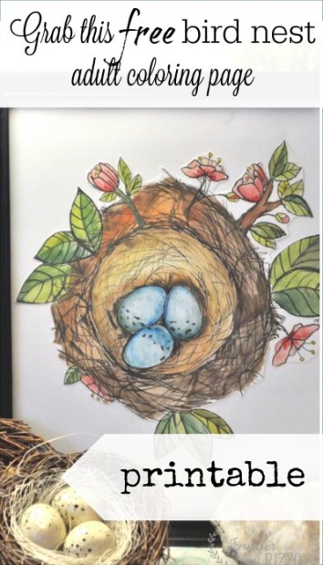 Bird nest coloring book page free printable - Jennifer Rizzo