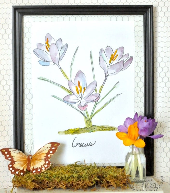 Framed watercolor drawing of crocus flowers labeled “Crocus,” with a glass jar of real crocus flowers, a butterfly decoration, moss in front—perfect as a spring printable or inspiration for your next coloring page.