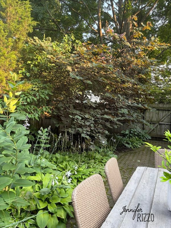 Outdoor patio with wicker chairs and a wooden table, surrounded by lush green plants and trees ideal for planting in the shade, on a paved surface next to a wooden fence.