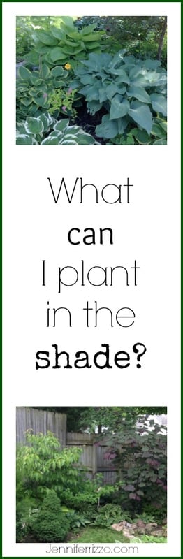 Planting in the shade, what can I plant in a shade garden