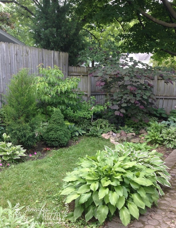 Lush backyard garden with green shrubs, hostas, and trees—perfect for planting in the shade—bordered by a wooden fence and a stone-edged path under leafy tree branches.