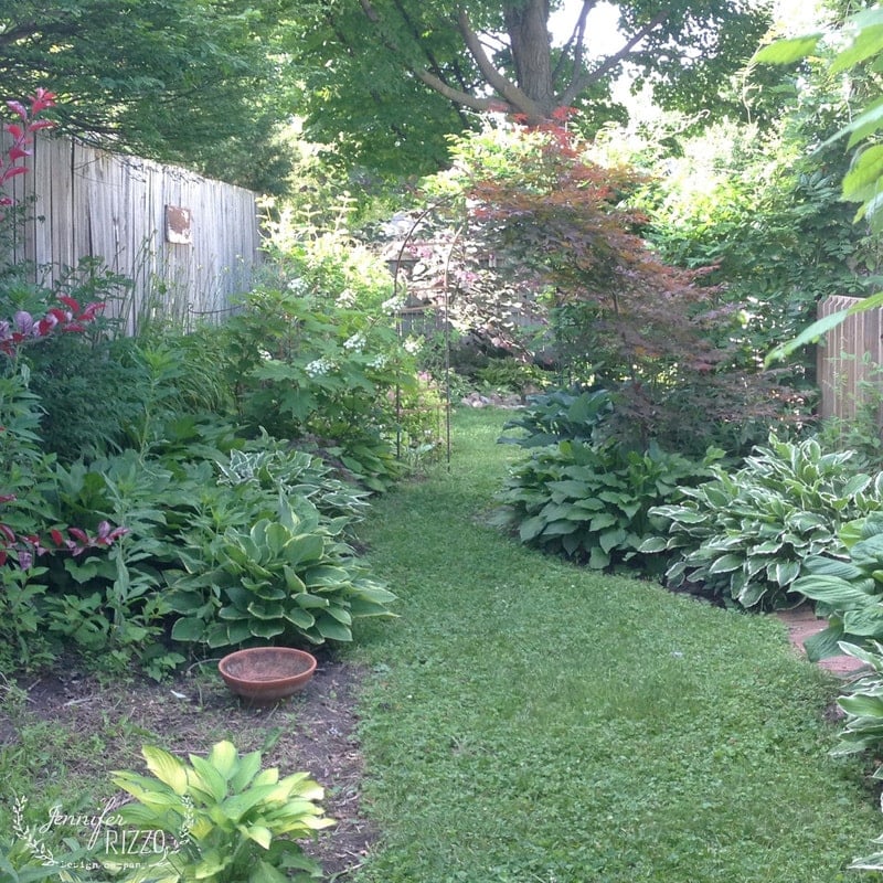 A grassy path curves through a lush garden with various green plants and shrubs, ideal for planting in the shade. The scene is bordered by wooden fences and shaded by tall trees.