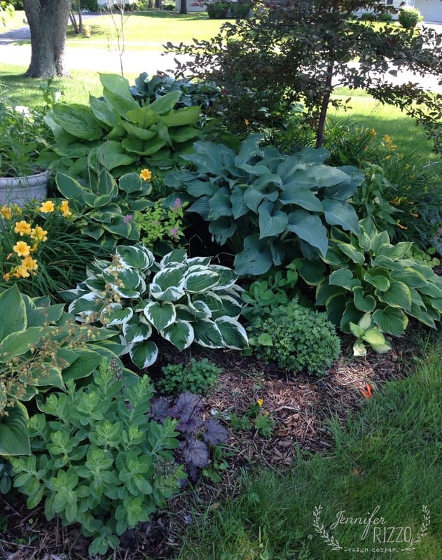 dappled shade mixture Jennifer Rizzo