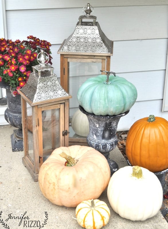 Mix of fake and real pumpkins for fall..fools the critters!