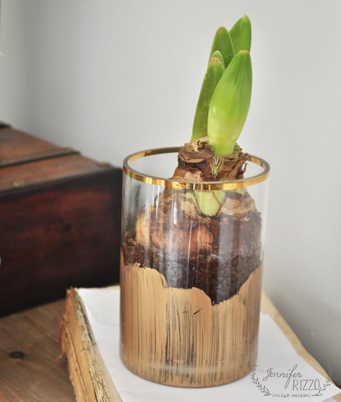 A green plant bulb sprouting leaves is planted in soil inside a clear glass container with gold paint accents, placed on a closed book near a wooden box, adding fresh charm to a cozy winter living room.