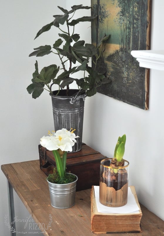 Three potted plants, including a blooming white flower and a bulb in a glass jar, are arranged on a wooden table in a cozy winter living room near a wall adorned with a framed picture.