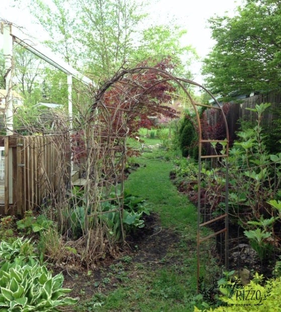 Garden path early spring