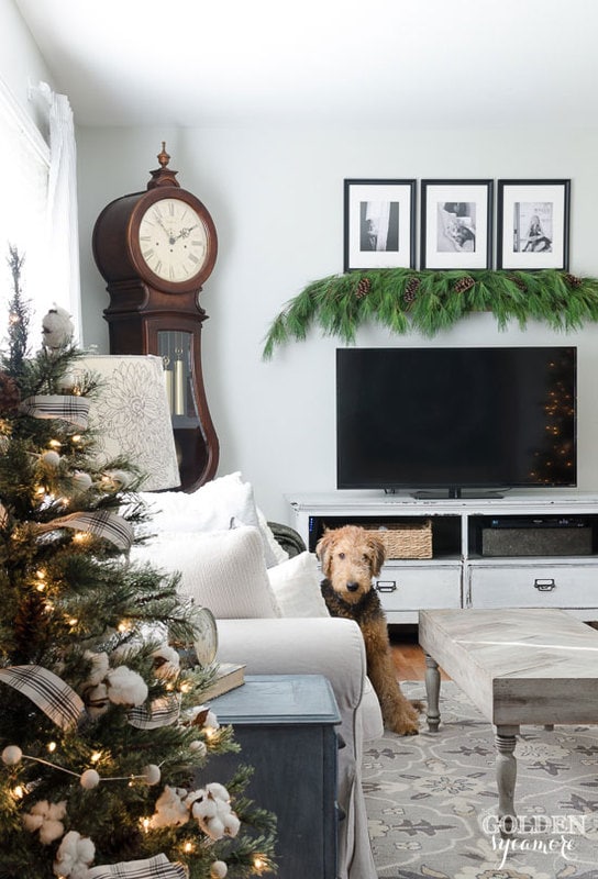 Holiday Housewalk 2017 Day 4 - Jennifer Rizzo