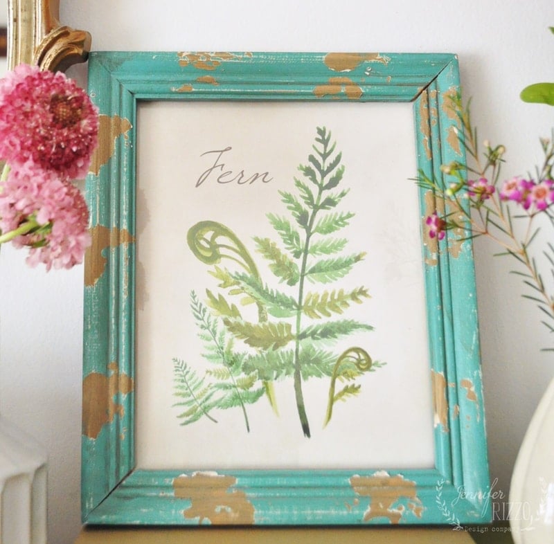 Free Botanical Fern Printable Jennifer Rizzo