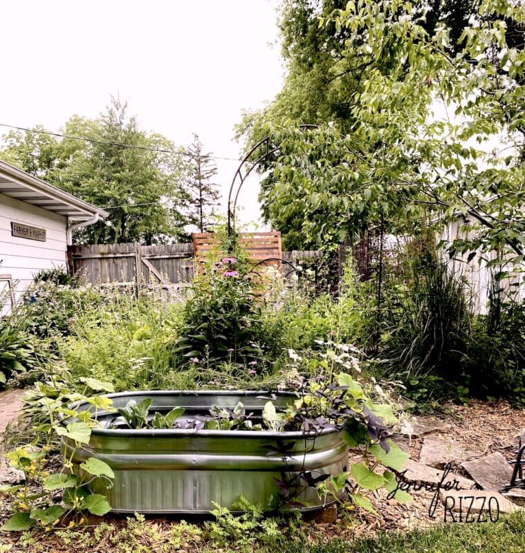 Growing Potatoes in Potato Grow Bags - Jennifer Rizzo