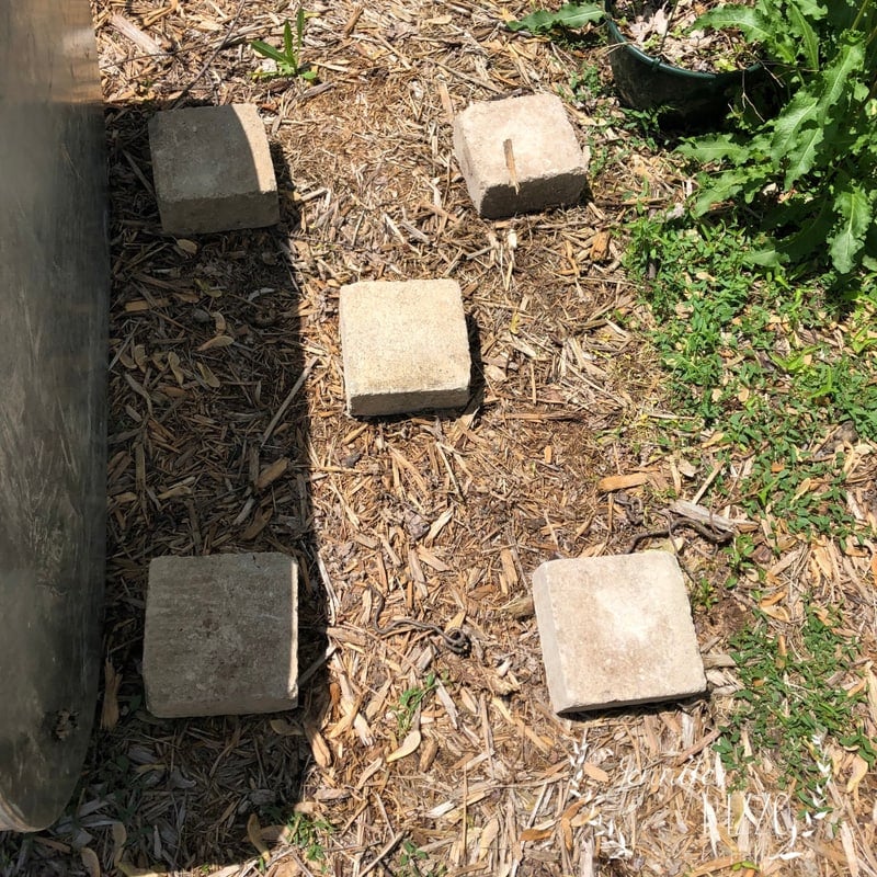 Raised Bed Galvanized Stock Tank Planter Jennifer Rizzo