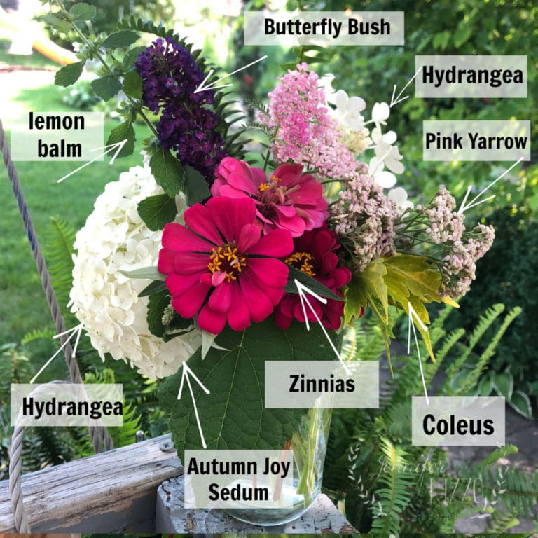 A glass vase contains labeled flowers and foliage—zinnias, hydrangea, butterfly bush, pink yarrow, lemon balm, coleus, and autumn joy sedum—inspiring you to make backyard bouquets.