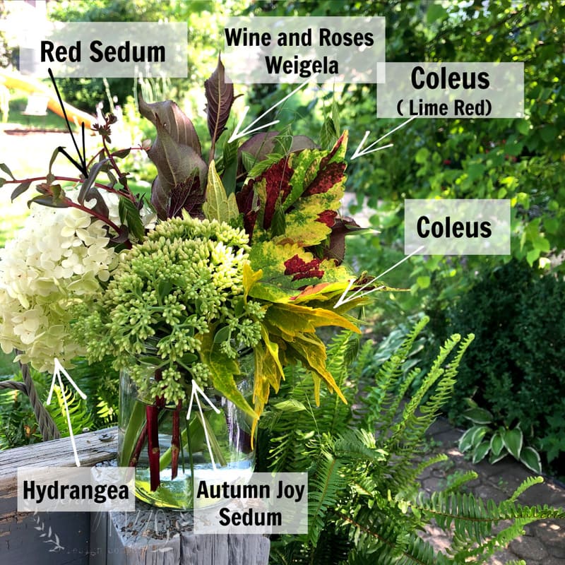 Flower arrangement for plants that grow roots