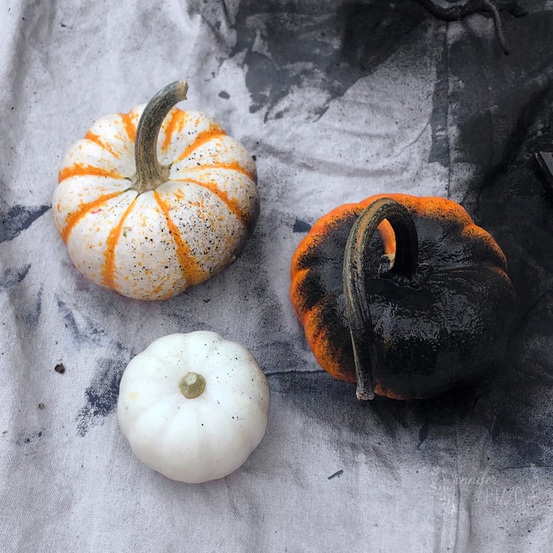 Spray paint pumpkins black