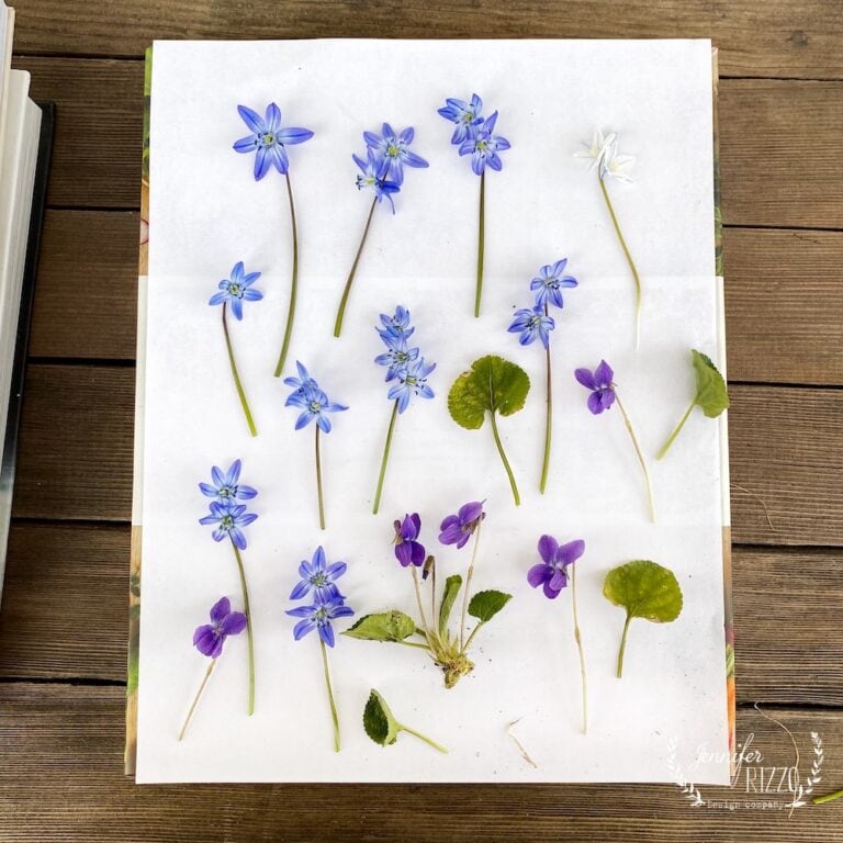 Various pressed blue and purple wildflowers with green leaves arranged on a white sheet of paper on a wooden surface, showcasing results from learning how to press flowers with books.