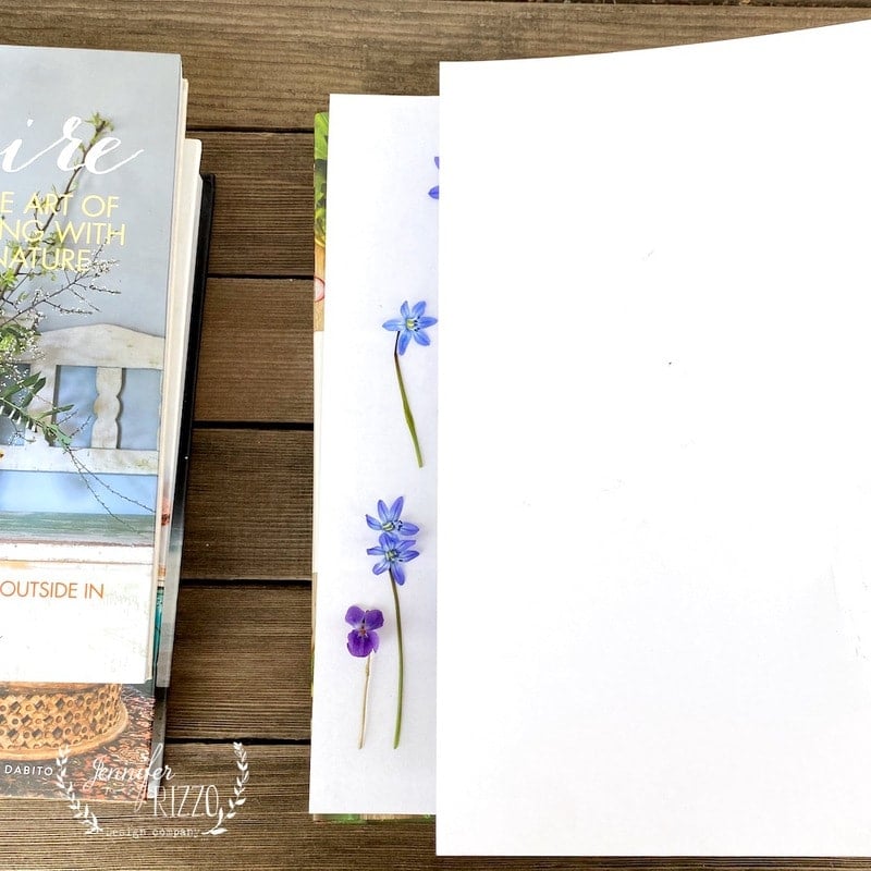 Lay out flowers for DIY flower pressing