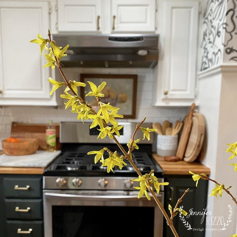 A forsythia branch with yellow flowers is placed in front of a stove in a kitchen with white cabinets and wooden countertops—an inspiring scene if you want to learn how to paint a forsythia branch.