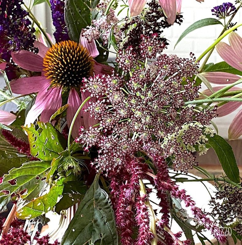 Floret Flowers Chocolate Lace Flower