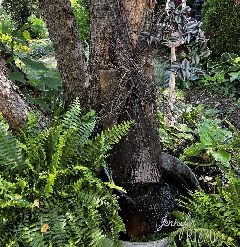 A rustic wooden DIY Solar Water Fountain flows into a black basin, surrounded by ferns and leafy garden plants as sunlight filters through trees.
