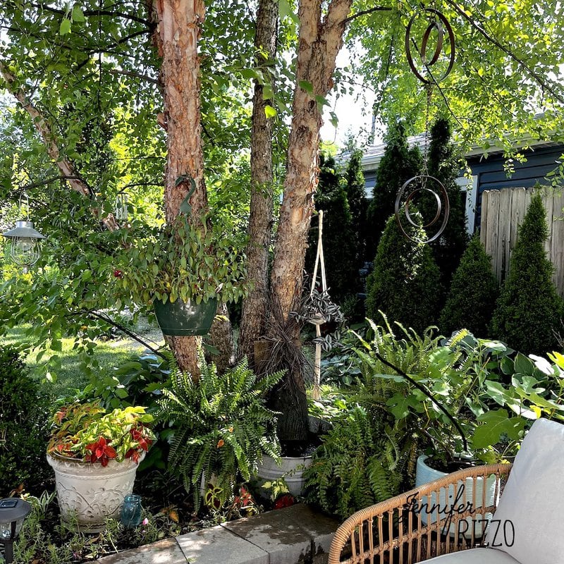 A backyard garden with leafy trees, hanging planters, potted plants, and a wooden chair in the foreground under dappled sunlight, complemented by a DIY solar water fountain adding soothing ambiance.