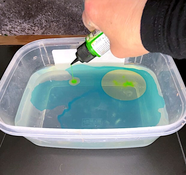 A hand demonstrates how to make marbled Christmas ornaments with paint by dispensing drops of green liquid from a bottle into a clear plastic tub filled with blue water.
