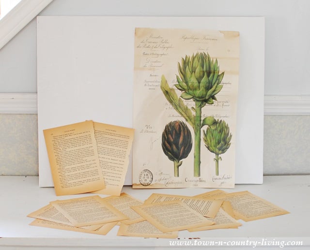 A DIY botanical art illustration of artichokes is displayed upright behind several scattered vintage book pages on a white surface.