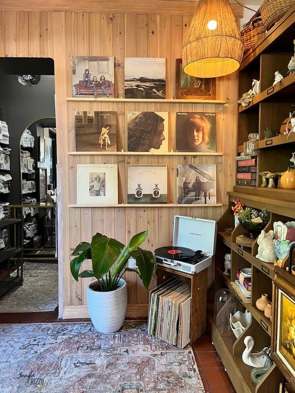 A cozy room with a wooden wall displays vinyl records and art prints; a turntable sits on a crate with more records, next to a potted plant and shelves of decorative items.