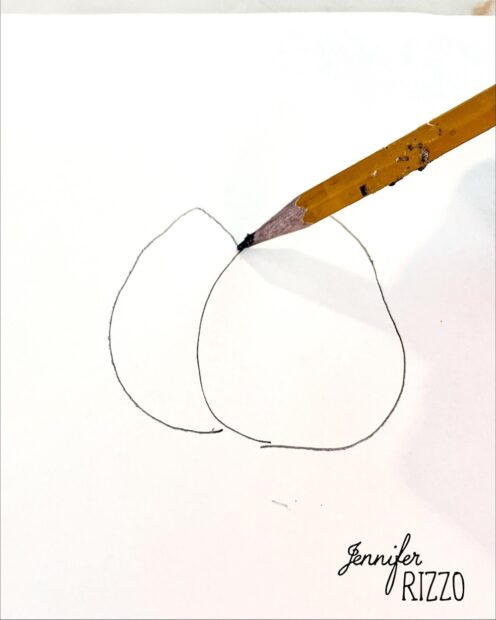 How to Draw a Tulip in Pencil - Jennifer Rizzo