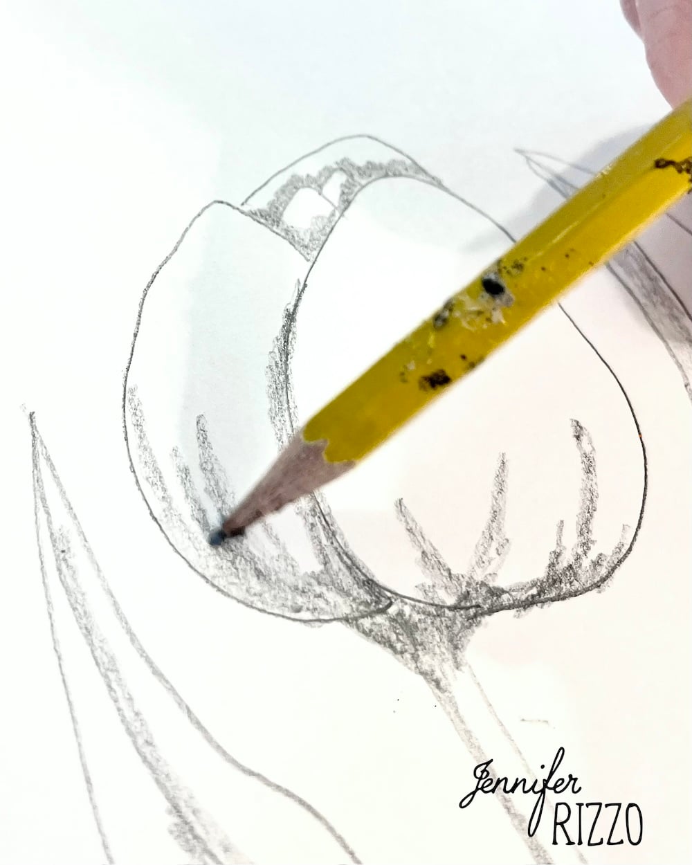 A hand uses a yellow pencil to sketch a tulip flower on white paper; the name "Jennifer RIZZO" appears at the bottom right.