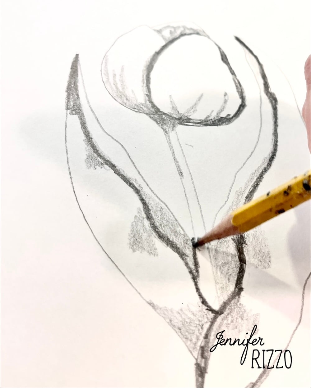 A hand sketches a flower with a pencil on white paper. The drawing is incomplete. The name "Jennifer Rizzo" is written in the corner.