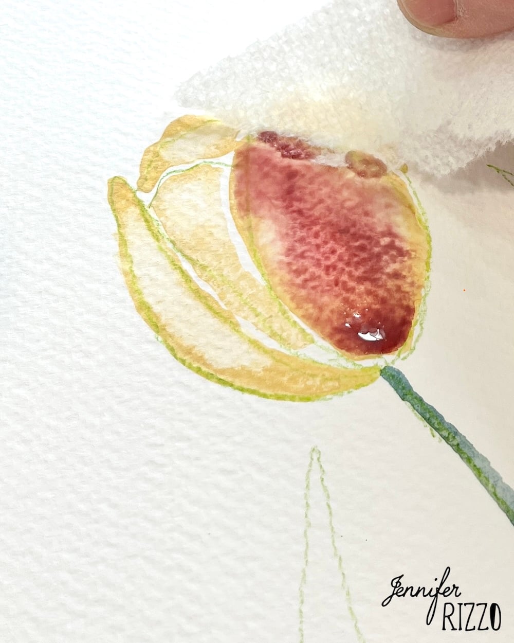 A hand uses a tissue to blot wet watercolor paint on a yellow and red flower painted on textured paper. The name "Jennifer Rizzo" is visible in the bottom right corner.