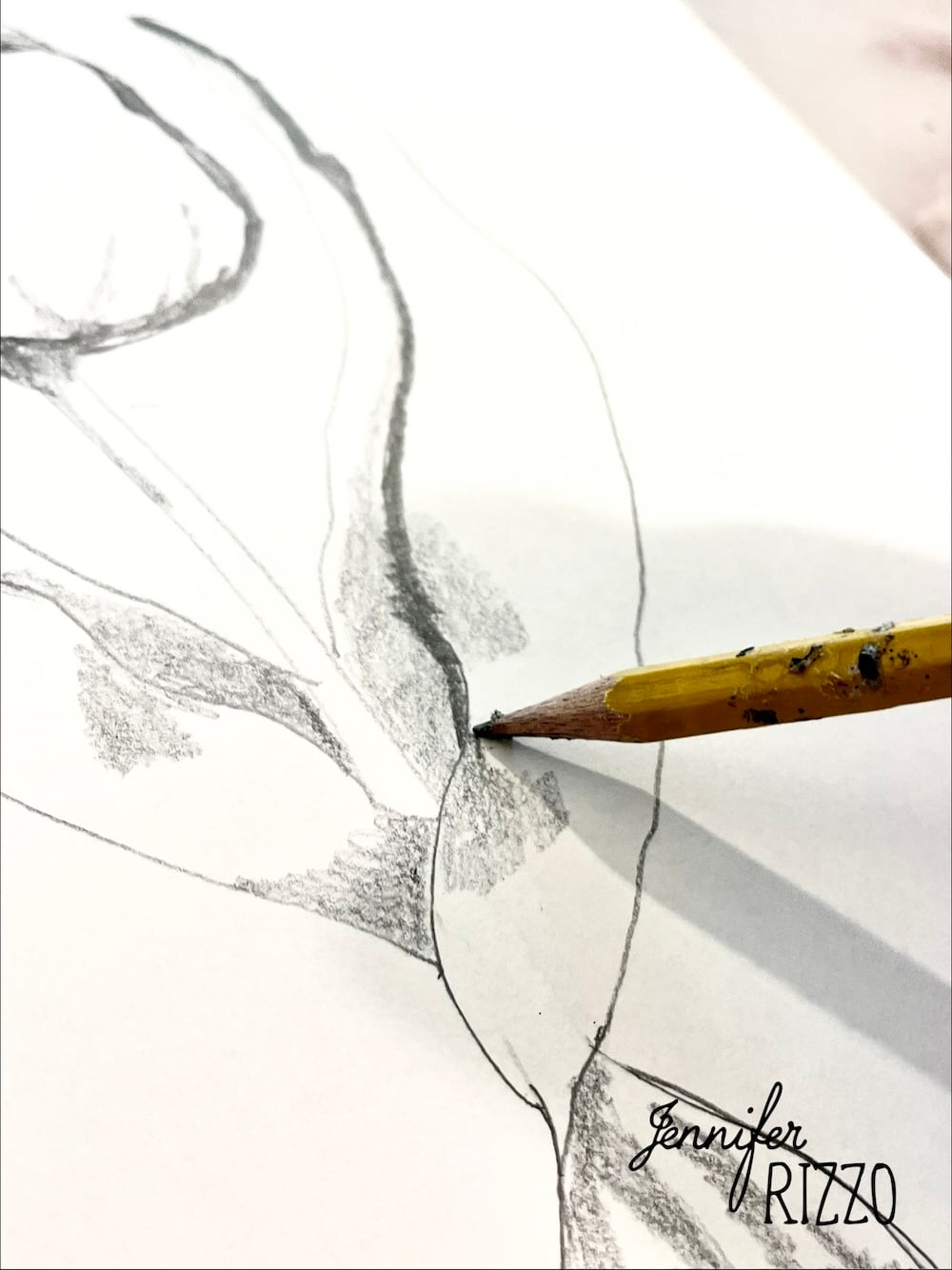 A close-up of a pencil shading a sketch on white paper, with "Jennifer Rizzo" written in the bottom right corner.