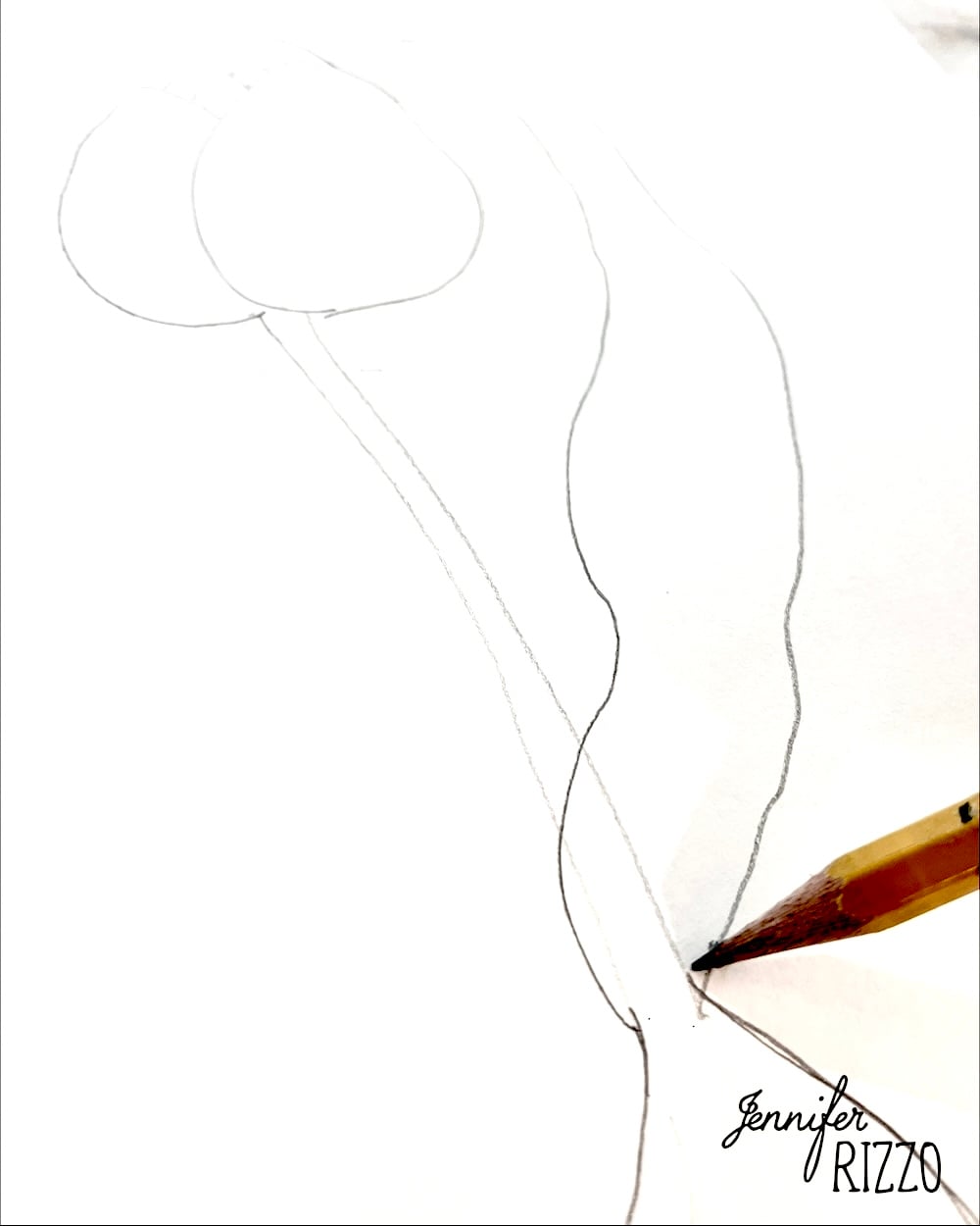 A pencil is drawing simple, curved lines on white paper, creating the outline of a plant or flower stem. The name "Jennifer Rizzo" is signed in the lower right corner.
