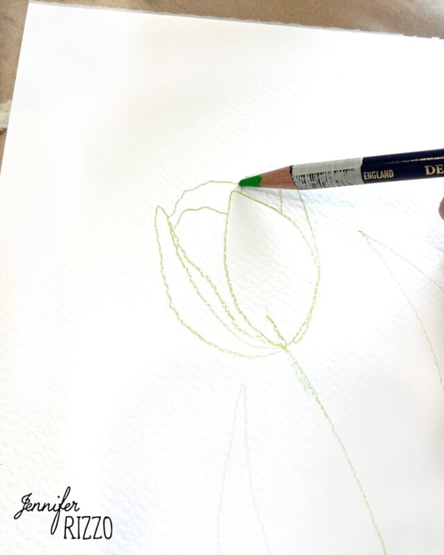 A hand sketches a tulip with a green colored pencil on white textured paper. The signature "Jennifer Rizzo" appears in the lower left corner.